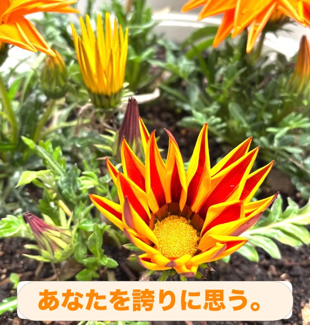 ☘️公立高校入試まであと10日となりました